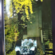 Illustration for article titled Jaguar SS 100 The Most Beautiful Car of the 1930s